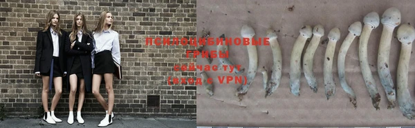 каннабис Бронницы