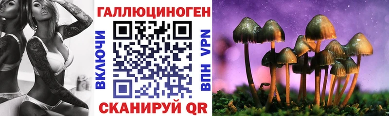 площадка как зайти  hydra зеркало  Карачаевск  Галлюциногенные грибы ЛСД 
